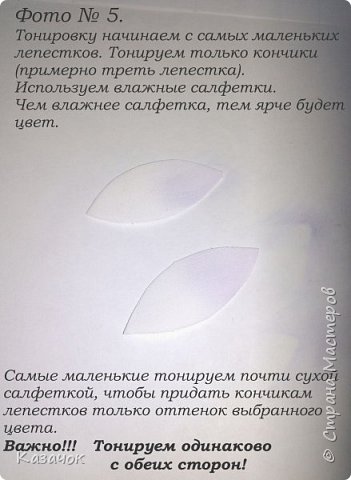 ������-����� ������������� ��������������� ����� �� ��������� ������-����� �������� ��� ���� 7