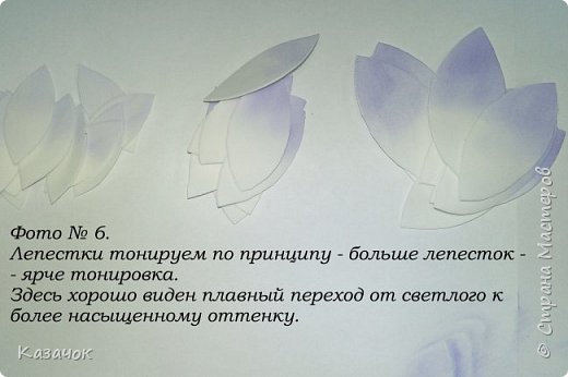 ������-����� ������������� ��������������� ����� �� ��������� ������-����� �������� ��� ���� 8