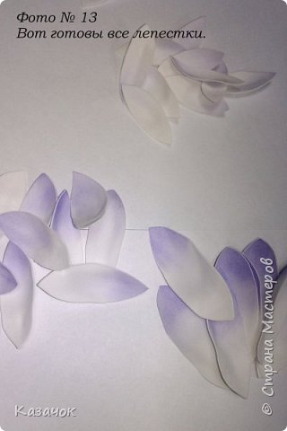 ������-����� ������������� ��������������� ����� �� ��������� ������-����� �������� ��� ���� 15