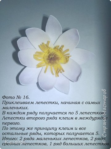 ������-����� ������������� ��������������� ����� �� ��������� ������-����� �������� ��� ���� 18