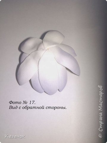 ������-����� ������������� ��������������� ����� �� ��������� ������-����� �������� ��� ���� 19