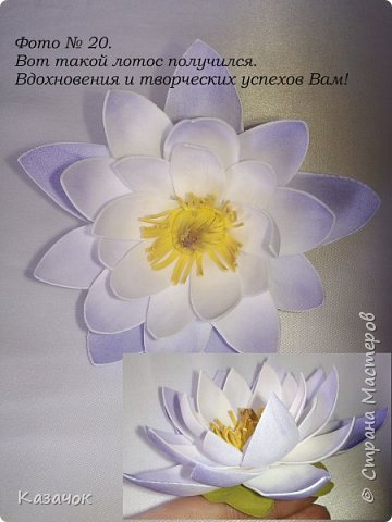 ������-����� ������������� ��������������� ����� �� ��������� ������-����� �������� ��� ���� 22