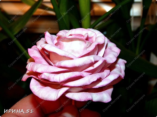 Мастер-класс Флористика искусственная Моделирование конструирование МК Чайно-гибридная роза из фоамирана Фоамиран фом фото 1