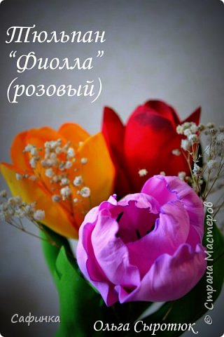 ������-����� ������������� ��������������� ������-����� �� �������� �������� La Courtine �� �����  �������� ��� ���� 67