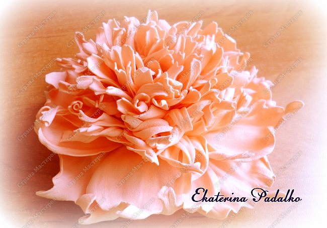 ������-����� ���������� ������������� ������������� ��������������� �� ��������� ����� �� ��������� �������� ��� ���� 60