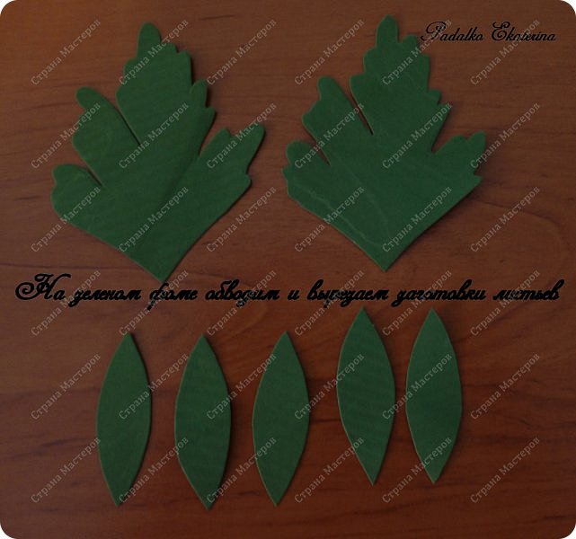 ������-����� ���������� ������������� ������������� ��������������� �� ��������� ����� �� ��������� �������� ��� ���� 12