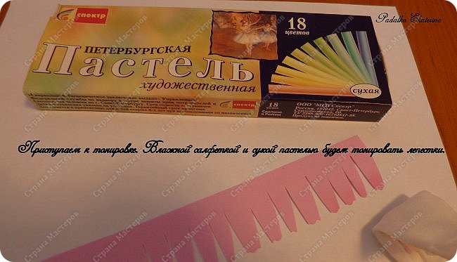 ������-����� ���������� ������������� ������������� ��������������� �� ��������� ����� �� ��������� �������� ��� ���� 13