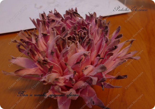 ������-����� ���������� ������������� ������������� ��������������� �� ��������� ����� �� ��������� �������� ��� ���� 49