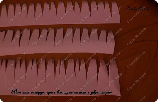 ������-����� ���������� ������������� ������������� ��������������� �� ��������� ����� �� ��������� �������� ��� ���� 15