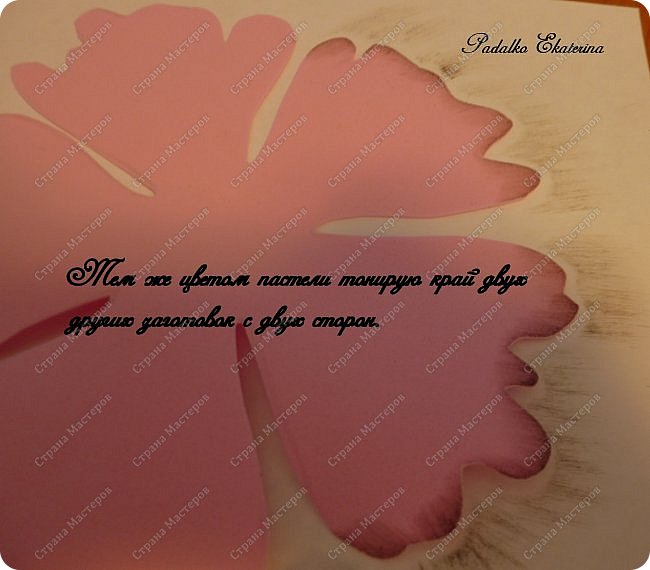 ������-����� ���������� ������������� ������������� ��������������� �� ��������� ����� �� ��������� �������� ��� ���� 16