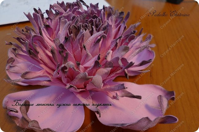 ������-����� ���������� ������������� ������������� ��������������� �� ��������� ����� �� ��������� �������� ��� ���� 51