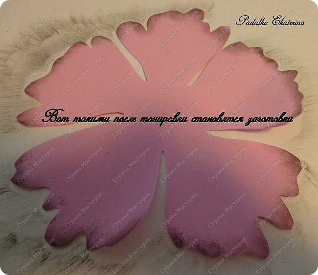 ������-����� ���������� ������������� ������������� ��������������� �� ��������� ����� �� ��������� �������� ��� ���� 17