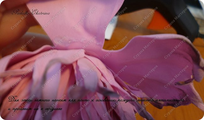 ������-����� ���������� ������������� ������������� ��������������� �� ��������� ����� �� ��������� �������� ��� ���� 52