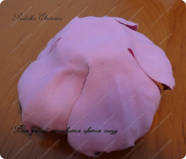 ������-����� ���������� ������������� ������������� ��������������� �� ��������� ����� �� ��������� �������� ��� ���� 53