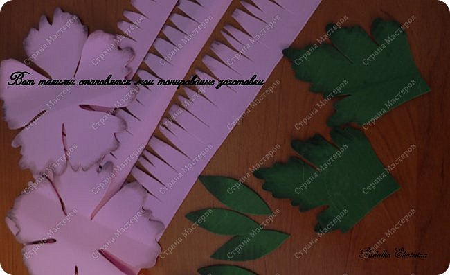 ������-����� ���������� ������������� ������������� ��������������� �� ��������� ����� �� ��������� �������� ��� ���� 19