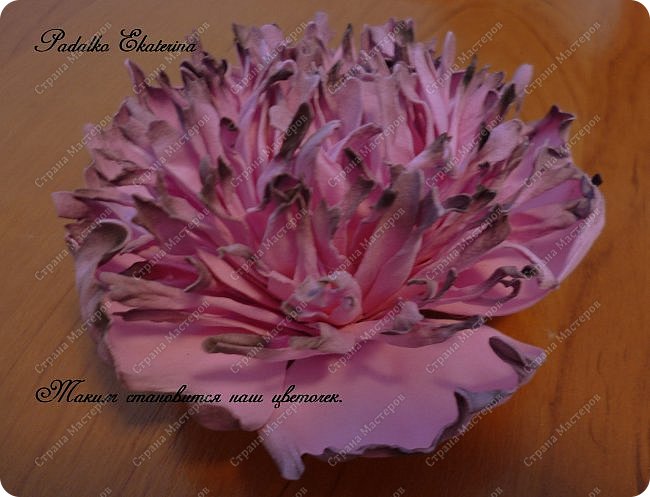 ������-����� ���������� ������������� ������������� ��������������� �� ��������� ����� �� ��������� �������� ��� ���� 54