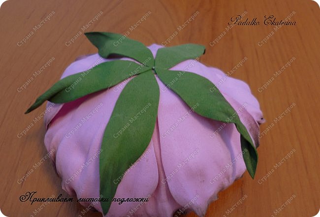 ������-����� ���������� ������������� ������������� ��������������� �� ��������� ����� �� ��������� �������� ��� ���� 56