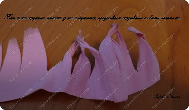 ������-����� ���������� ������������� ������������� ��������������� �� ��������� ����� �� ��������� �������� ��� ���� 22