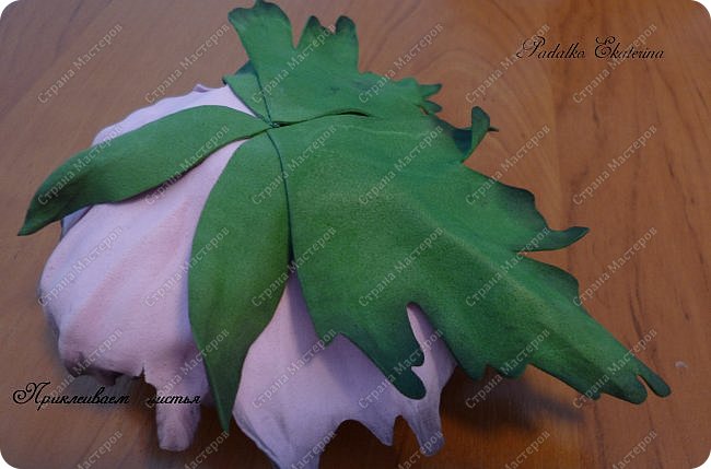 ������-����� ���������� ������������� ������������� ��������������� �� ��������� ����� �� ��������� �������� ��� ���� 57