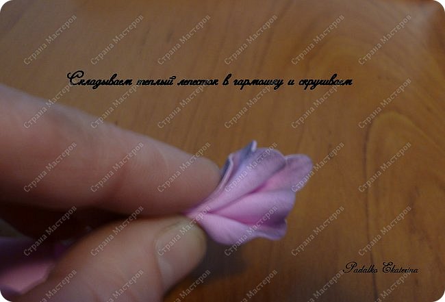 ������-����� ���������� ������������� ������������� ��������������� �� ��������� ����� �� ��������� �������� ��� ���� 25