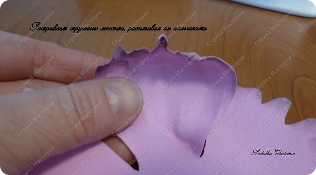 ������-����� ���������� ������������� ������������� ��������������� �� ��������� ����� �� ��������� �������� ��� ���� 26