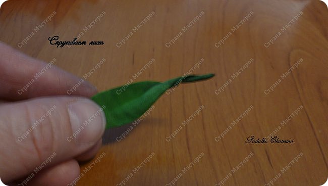 ������-����� ���������� ������������� ������������� ��������������� �� ��������� ����� �� ��������� �������� ��� ���� 29