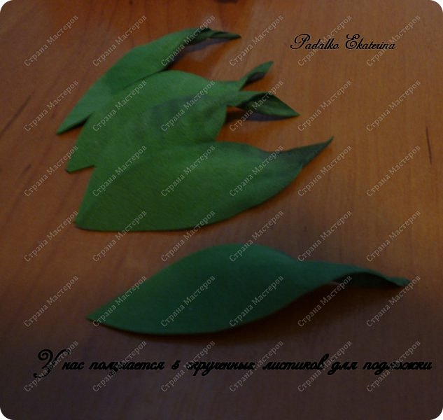 ������-����� ���������� ������������� ������������� ��������������� �� ��������� ����� �� ��������� �������� ��� ���� 30