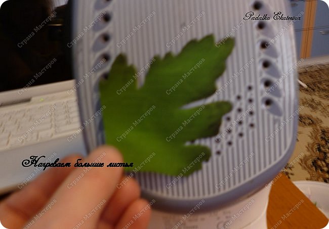 ������-����� ���������� ������������� ������������� ��������������� �� ��������� ����� �� ��������� �������� ��� ���� 31