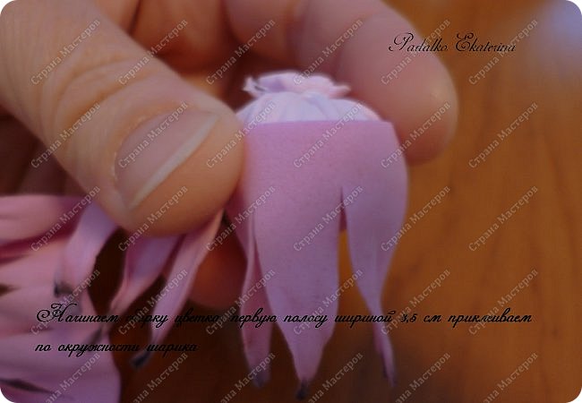 ������-����� ���������� ������������� ������������� ��������������� �� ��������� ����� �� ��������� �������� ��� ���� 39