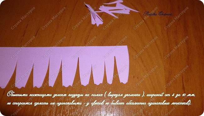 ������-����� ���������� ������������� ������������� ��������������� �� ��������� ����� �� ��������� �������� ��� ���� 7