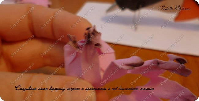 ������-����� ���������� ������������� ������������� ��������������� �� ��������� ����� �� ��������� �������� ��� ���� 41