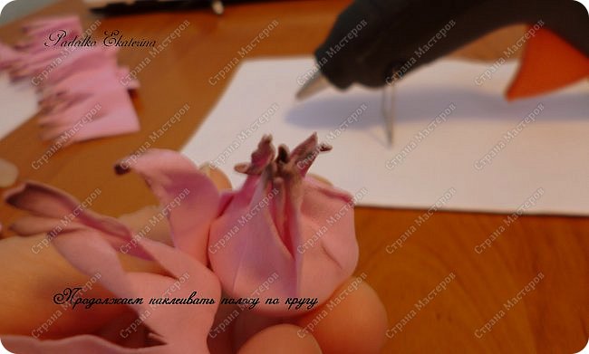 ������-����� ���������� ������������� ������������� ��������������� �� ��������� ����� �� ��������� �������� ��� ���� 42