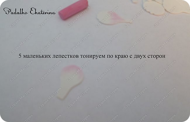 ������-����� ��  ������� �������� ��������� �������� ��� ���� 14