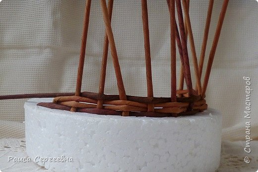 Мастер-класс Плетение Мини МК по плетению Ушастой корзины  Трубочки бумажные фото 5