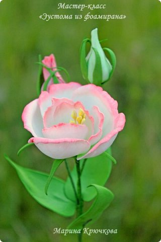 ������-����� ���������� ������������� 8 ����� ��������� ���� ������ ���� �������� ������������� ��������������� ������� �� ��������� ������-����� �������� ��� ���� 1