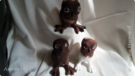 ������-����� �����-���� ���� �� ����� � ����  ���� 21