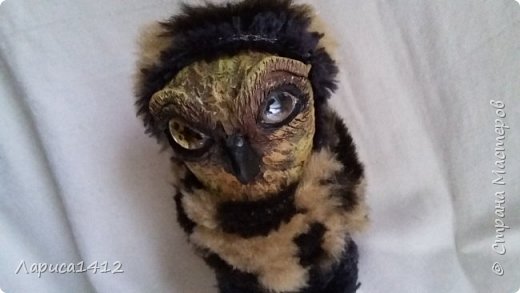 ������-����� �����-���� ���� �� ����� � ����  ���� 25