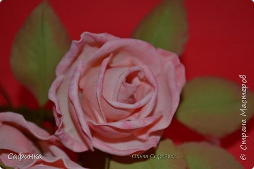 ������-����� ���������� ������������� ������������� ��������������� ������ ����� �� �������� ��������������� ���� � ��������  1 ����� �������� ��� ���� 32