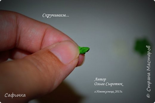 ����� ������-����� ������������� ��������������� ������� ����������� �� ���������  �������� ��� ���� 10