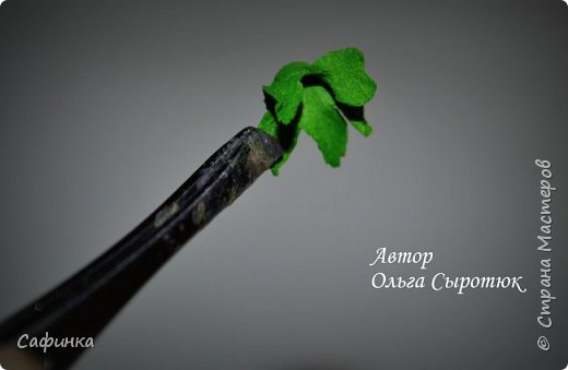 ����� ������-����� ������������� ��������������� ������� ����������� �� ���������  �������� ��� ���� 11