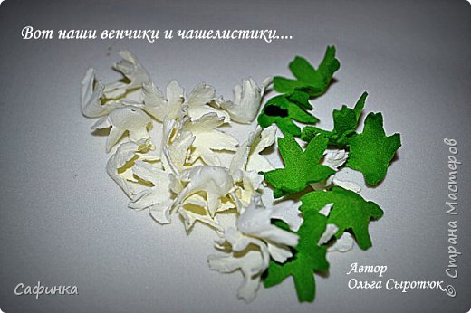 ����� ������-����� ������������� ��������������� ������� ����������� �� ���������  �������� ��� ���� 12