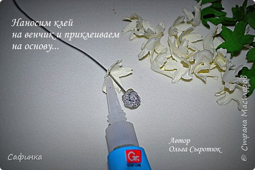 ����� ������-����� ������������� ��������������� ������� ����������� �� ���������  �������� ��� ���� 15