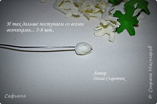 ����� ������-����� ������������� ��������������� ������� ����������� �� ���������  �������� ��� ���� 16