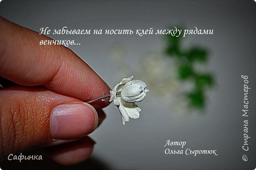 ����� ������-����� ������������� ��������������� ������� ����������� �� ���������  �������� ��� ���� 17