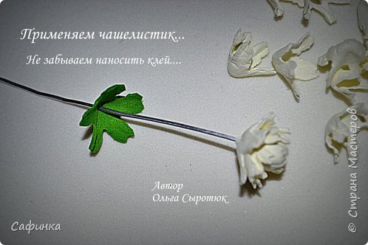 ����� ������-����� ������������� ��������������� ������� ����������� �� ���������  �������� ��� ���� 19