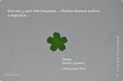 ����� ������-����� ������������� ��������������� ������� ����������� �� ���������  �������� ��� ���� 2