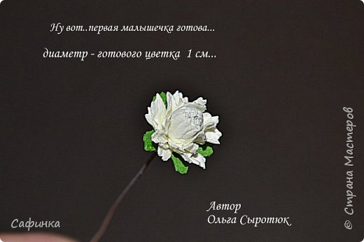 ����� ������-����� ������������� ��������������� ������� ����������� �� ���������  �������� ��� ���� 20