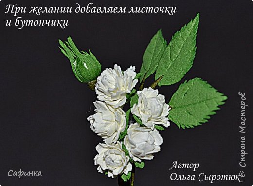 ����� ������-����� ������������� ��������������� ������� ����������� �� ���������  �������� ��� ���� 22