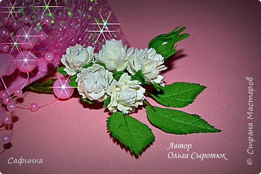 ����� ������-����� ������������� ��������������� ������� ����������� �� ���������  �������� ��� ���� 23