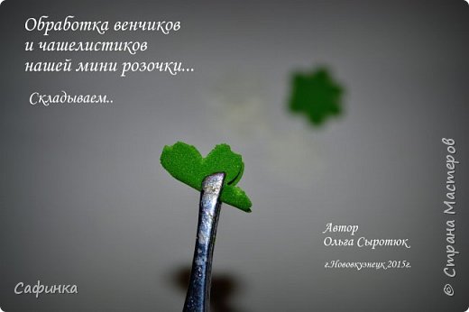 ����� ������-����� ������������� ��������������� ������� ����������� �� ���������  �������� ��� ���� 8